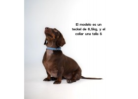 Collar Leather Dog Essential Blue