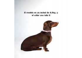 Collar Cuero Perro Essential Ópalo
