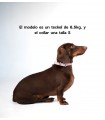 Collar Cuero Perro Essential Ópalo