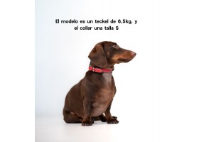 Collar Cuero Perro Essential Amapola