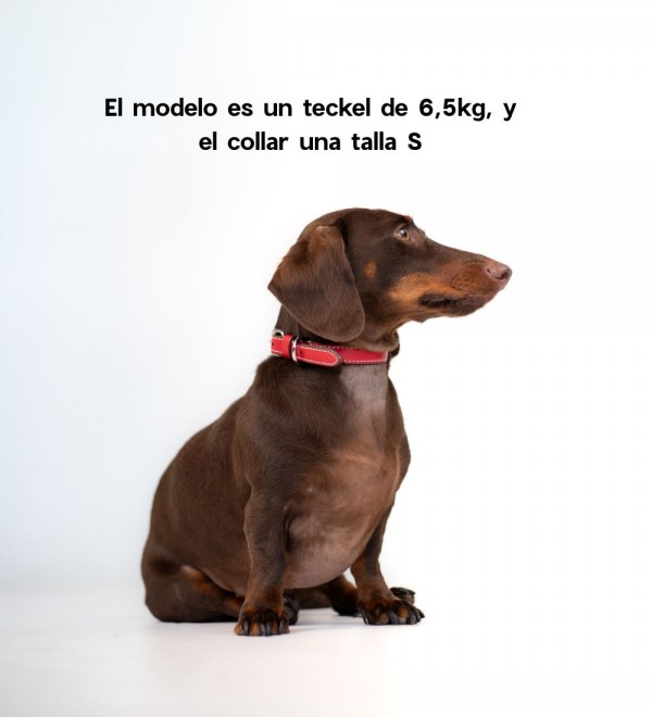 Collar Leather Dog Essential Poppy