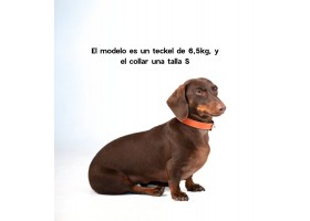 Collar Cuero Perro Essential Naranja