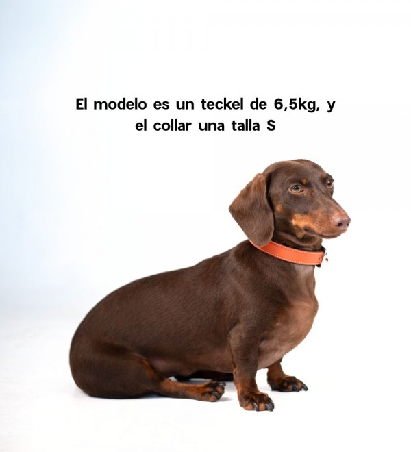 Collar Leather Dog Essential Orange