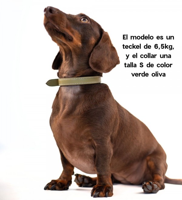 Collar Leather Dog Essential Tobacco