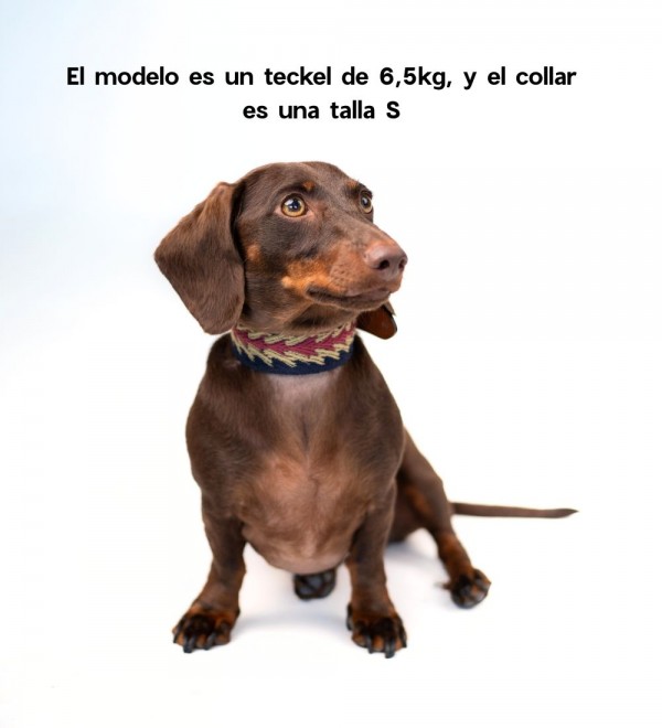 Collar Dog Peruvian Blue Arrow