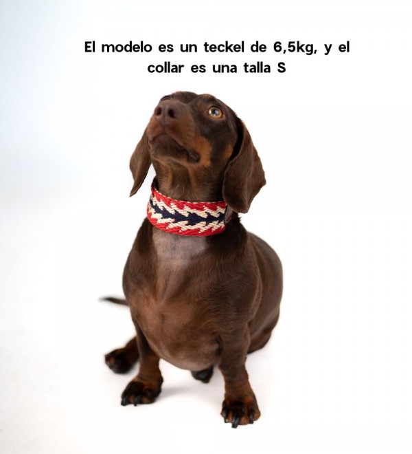 Collar Leather Dog Peruvian Arrow Red
