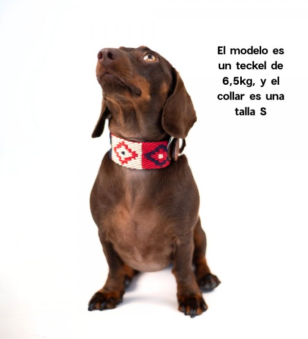 Collar Cuero Perro Peruvian Indian