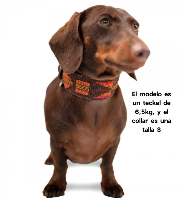 Collar Cuero Perro Etna Marrón