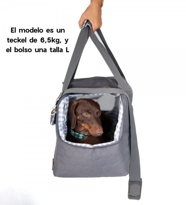 Arthur's dog bag