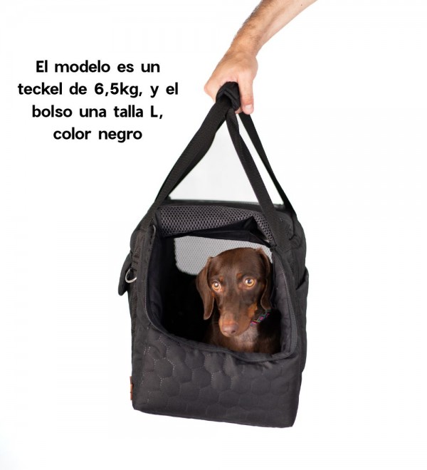 Liam dog bag.