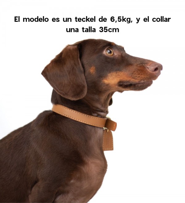 Collar de Cuero Perro Caramel