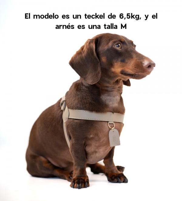 Beige Leather Harness