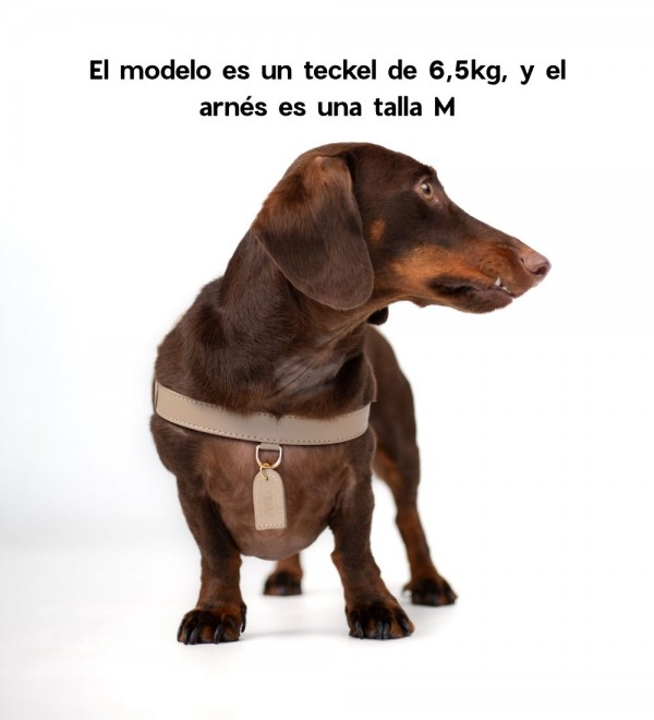 Beige Harness