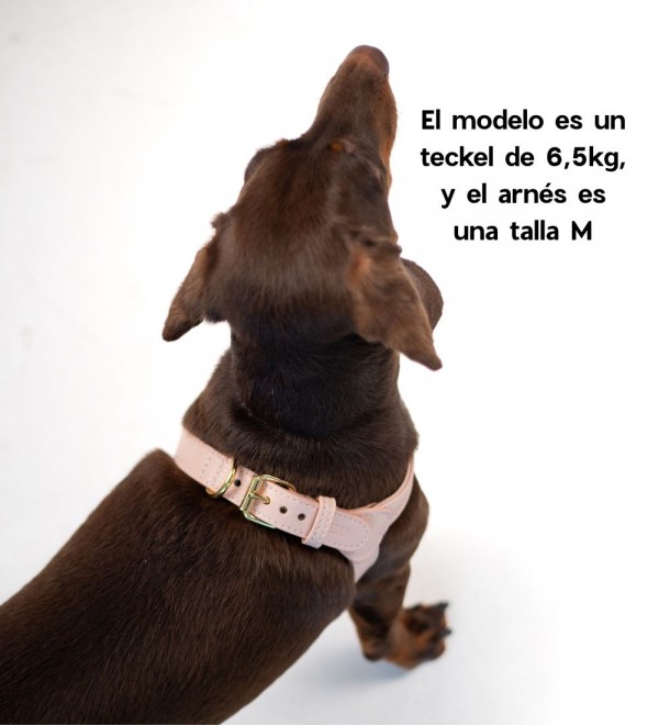 Arnés para Perro Peonia