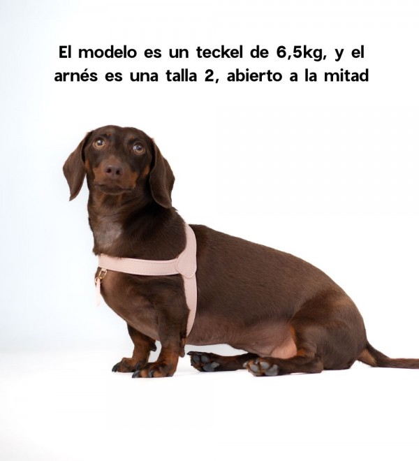 Arnés para Perro Peonia