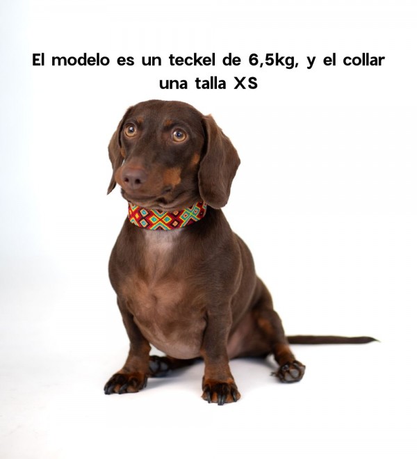 Collar Perro Cuero Artesanal K'Ok