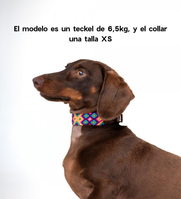 Collar Handmade Leather Dog Nichim