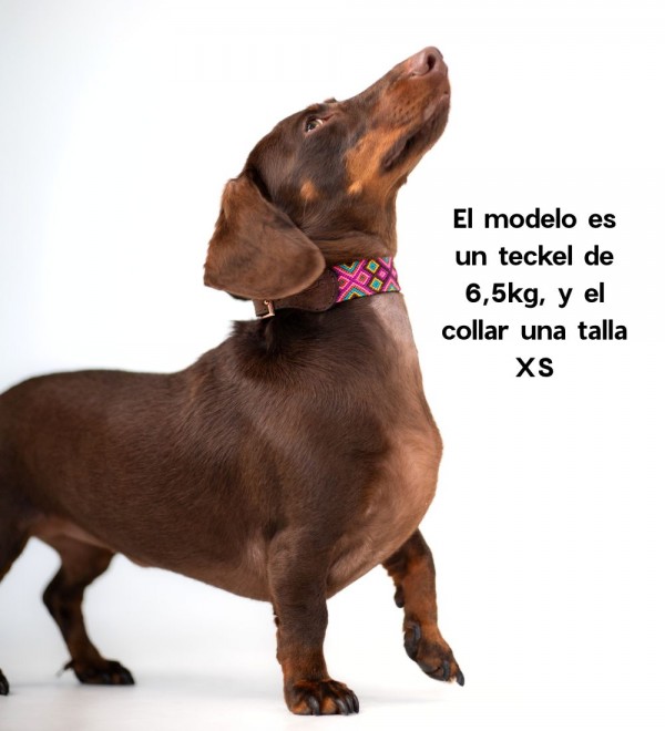 Collar Handmade Leather Dog Collar Balamil