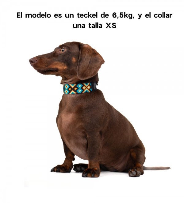 Collar Perro Cuero Artesanal Ak'ubal