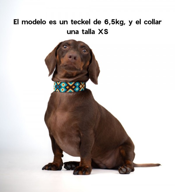 Collar Perro Cuero Artesanal Ak'ubal