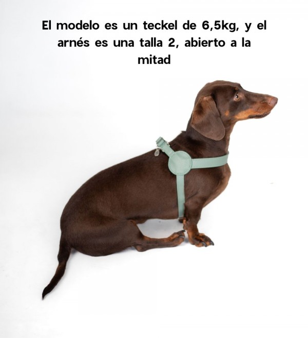 Movie Mint Harness