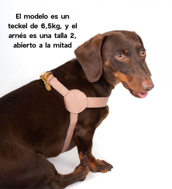Harness Movie Pink