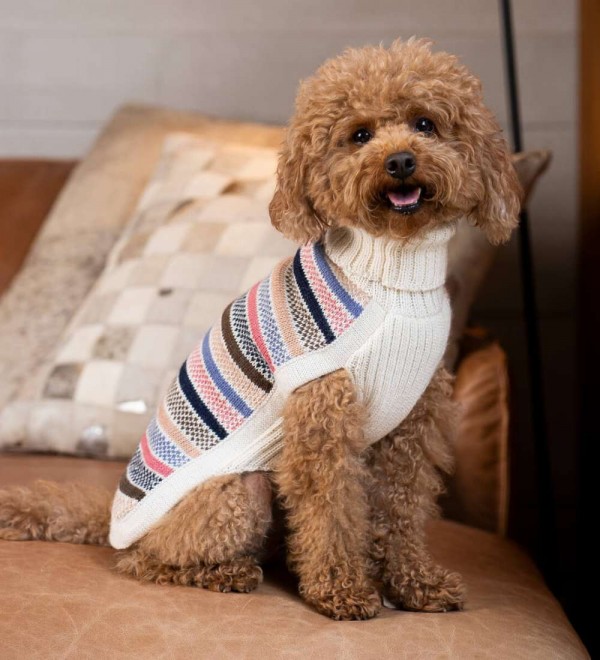 Jersey para perro Blushline Stripe