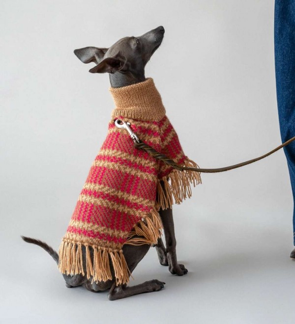 Camelberry Plaid Dog Poncho