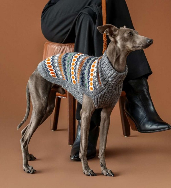 Jersey para perro Grey Hexagon