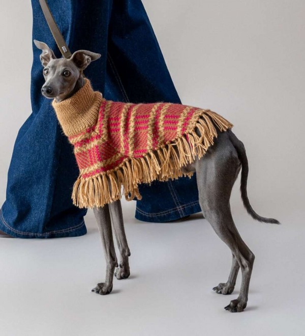 Camelberry Plaid Dog Poncho