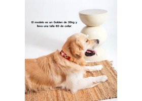 Collar de Cuero Suizo Rojo