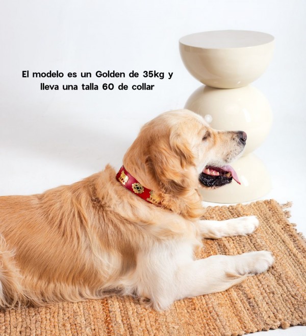 Leather Swiss Red Collar