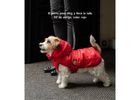 Dog coat Feather Red