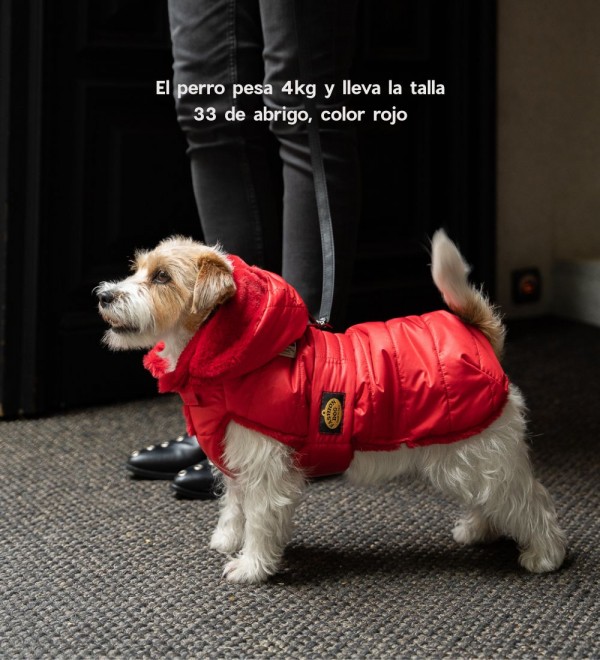Abrigo para perro Plumas Rojo