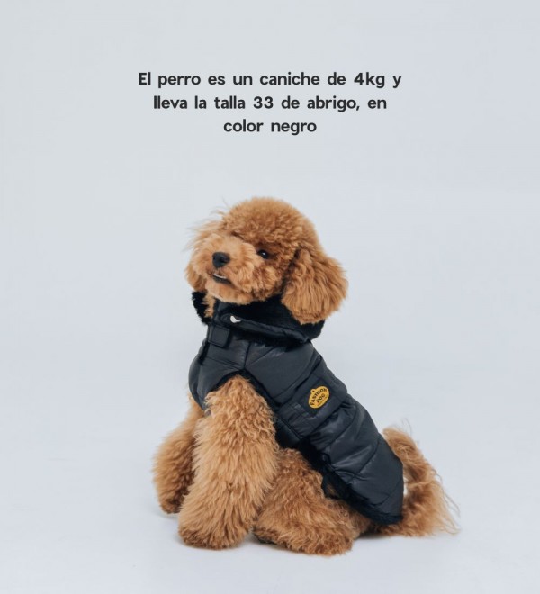 Black Feather Dog Coat