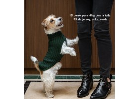 Jersey Para Perro Trenzado Verde Jersey Para Perro Trenzado Verde