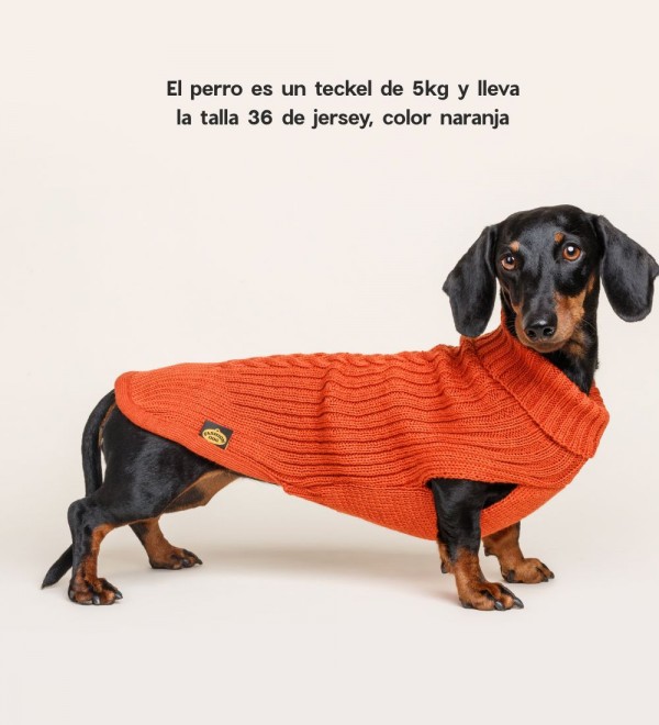 Jersey Para Perro Trenzado Naranja