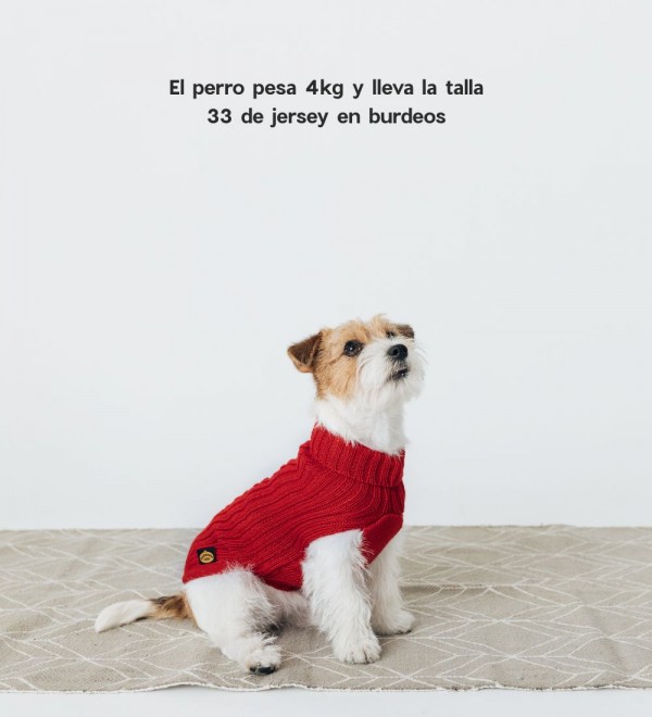 Jersey Para Perro Trenzado Azul