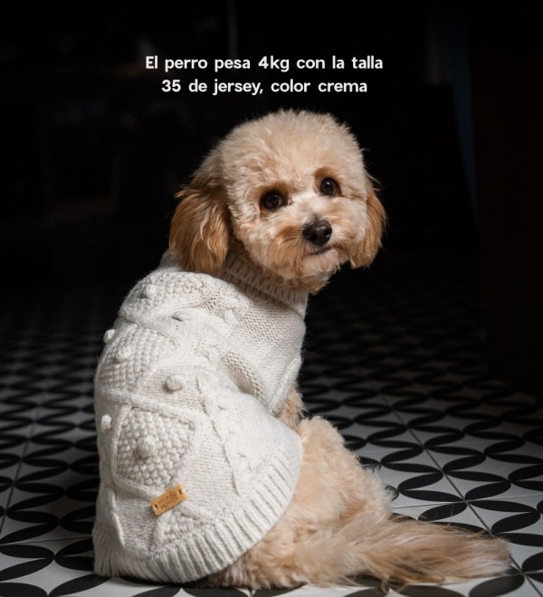 Jersey Para Perro - Irvin Rosa