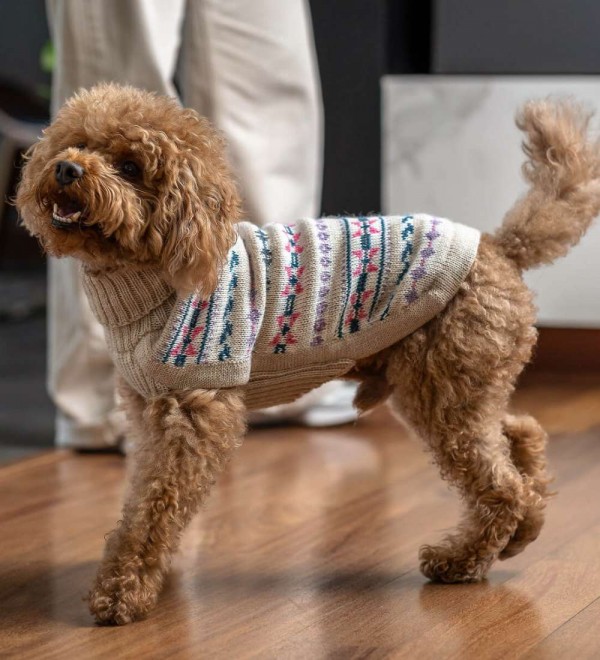 Jersey para perro Serendipity