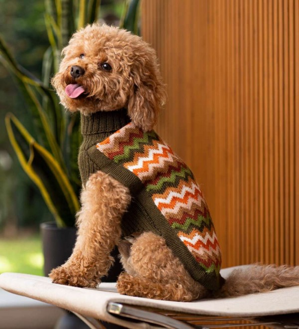 Forest Chevron Dog Jersey