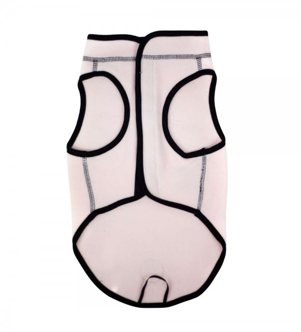 Polar para perros Explorer Rosa