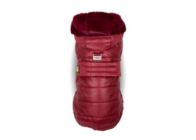 Burgundy Feather Dog Coat