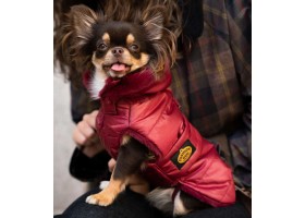 Burgundy Feather Dog Coat
