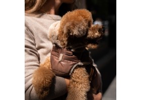 Abrigo para Perros Plumas Marrón Abrigo para Perros Plumas Marrón