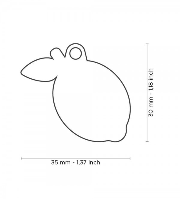 Chapa Food Limón translates to "Lemon Flavored Chapa Food" in English.