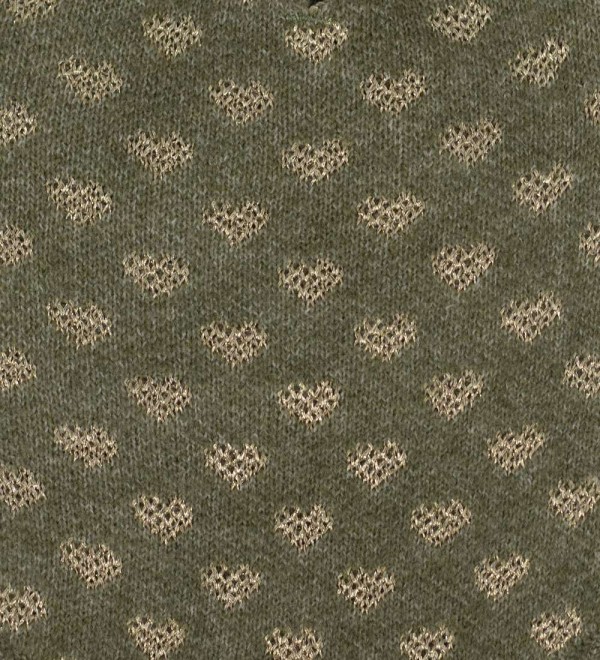 Alice's dog jersey