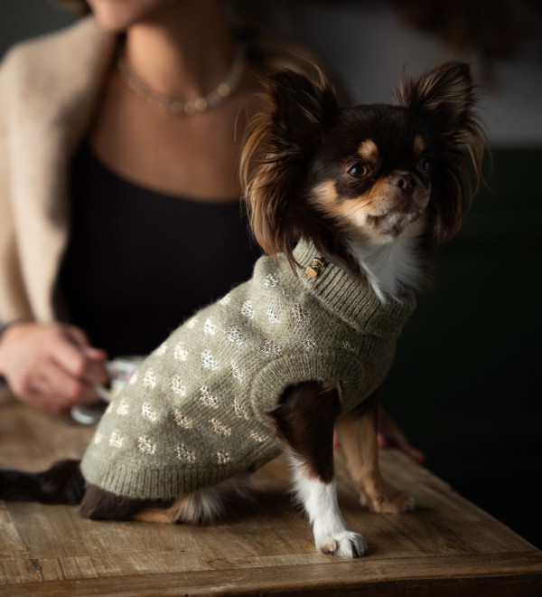 Jersey para perro Alice