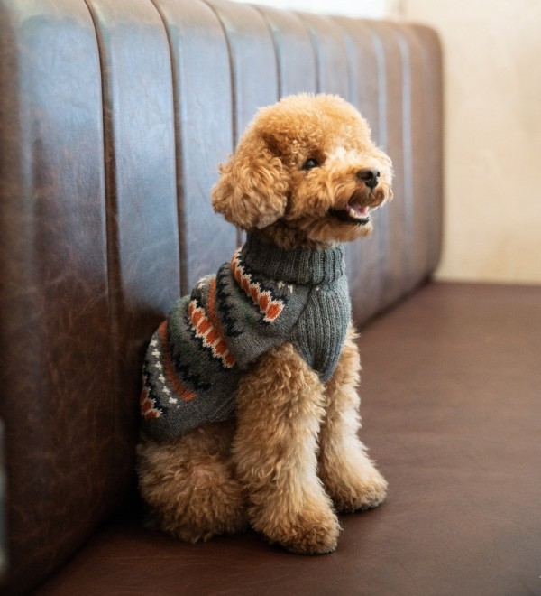 Grey Hexagon Dog Jersey