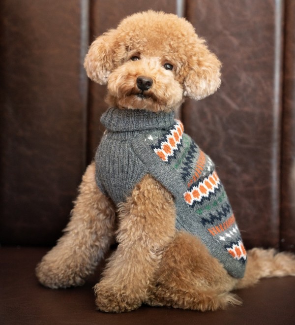 Grey Hexagon Dog Jersey